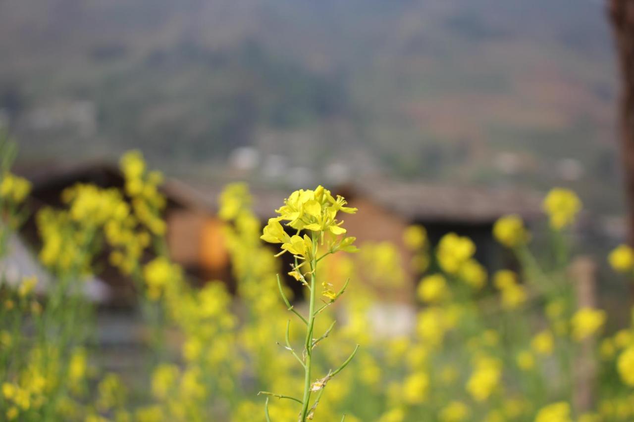 S Plus Bungalow Sapa Dış mekan fotoğraf