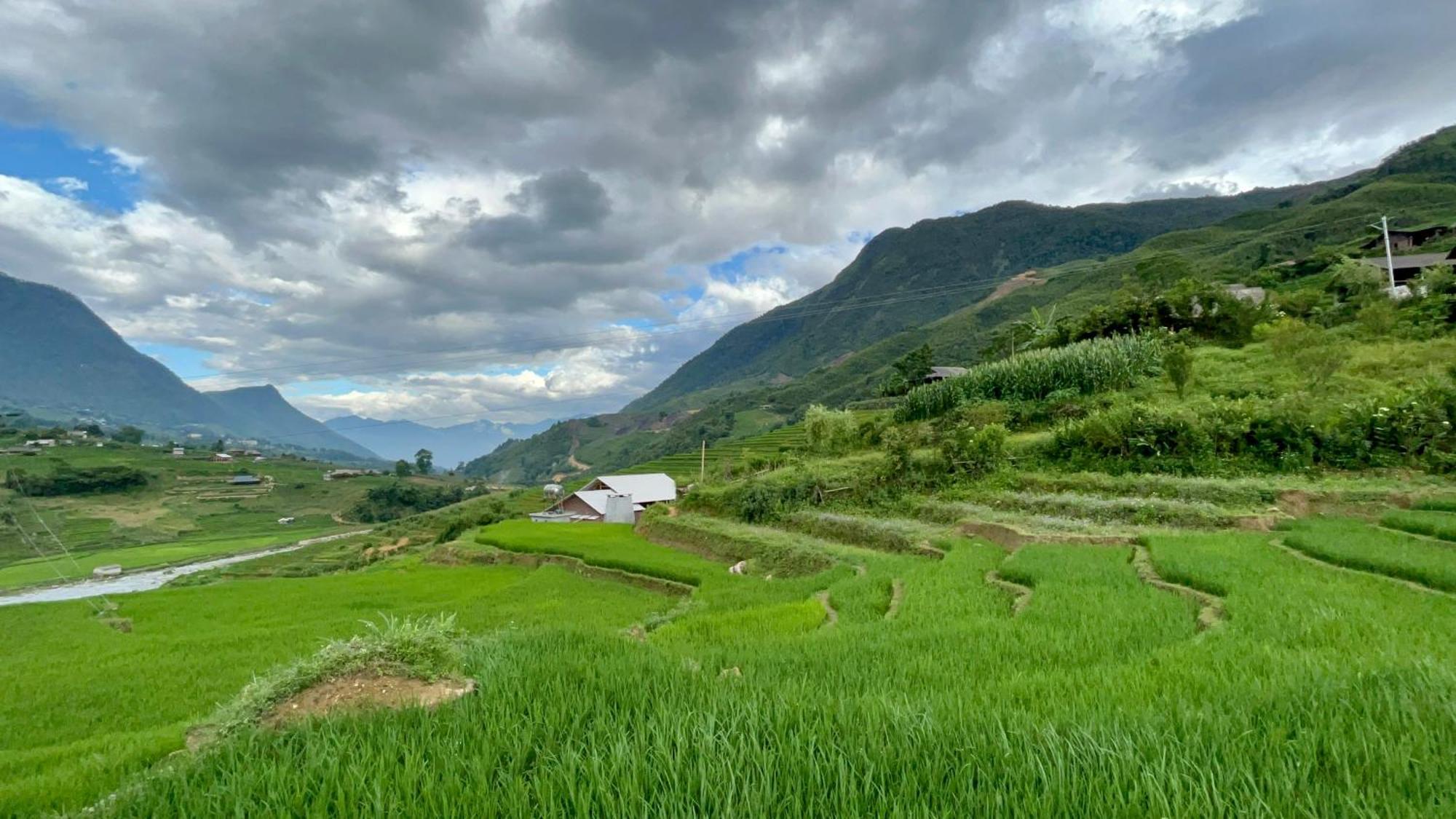 S Plus Bungalow Sapa Dış mekan fotoğraf